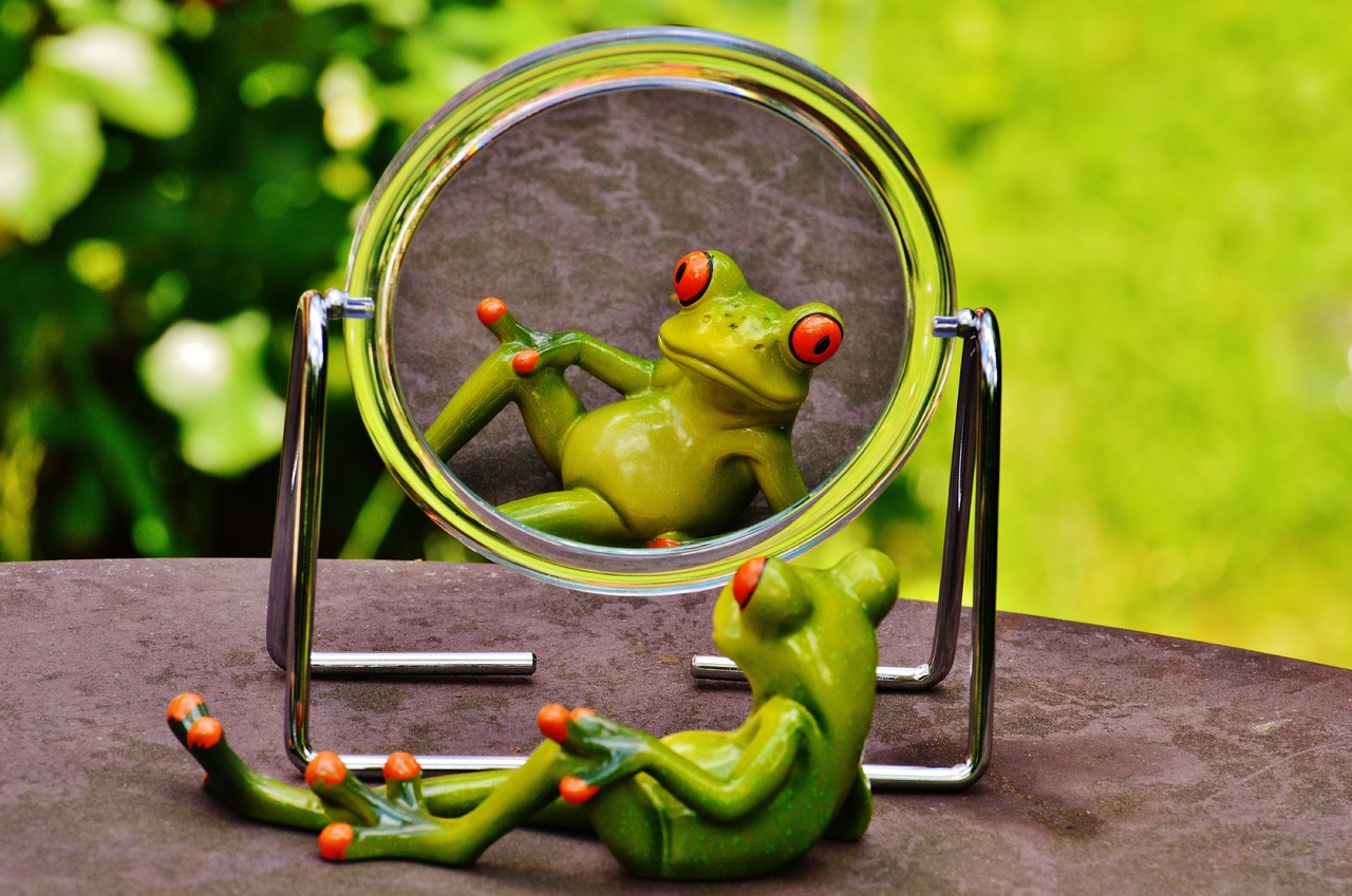 Zelfzorg bij levend verlies: animatie van groene kikker die in een spiegel kijkt