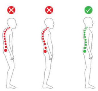 Houding: drie getekende lichamen van een staande persoon, waarvan twee in een slechte houding (rode wervelkolom) en één in een goede houding (groene wervelkolom). 