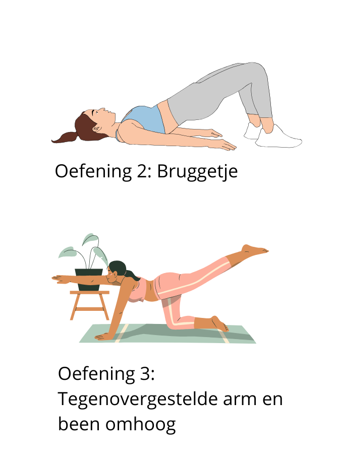5 oefeningen om je gehele lichaam te versterken: tekening van oefening 2 (bruggetje) en 3 (tegenovergetelde arm en been omhoog)