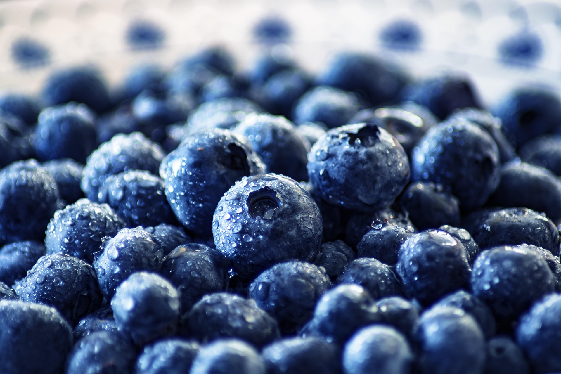 Superfoods: blauwe bessen