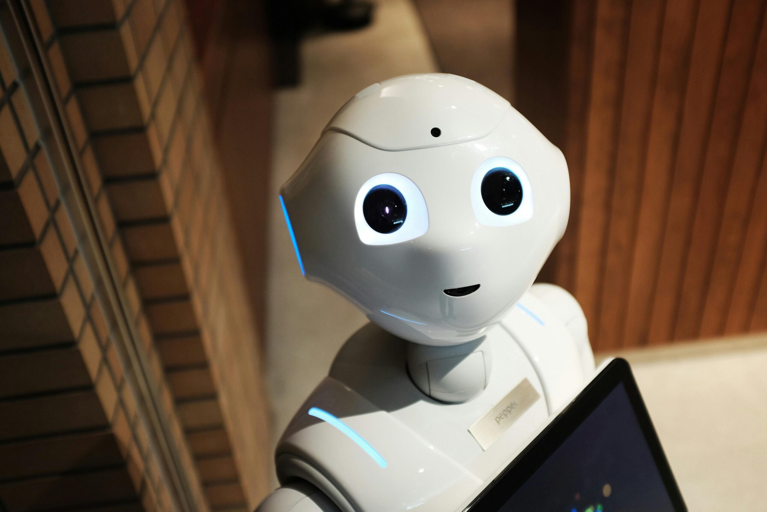 Zorg, technologie: een lief kijkende (zorg-)robot.