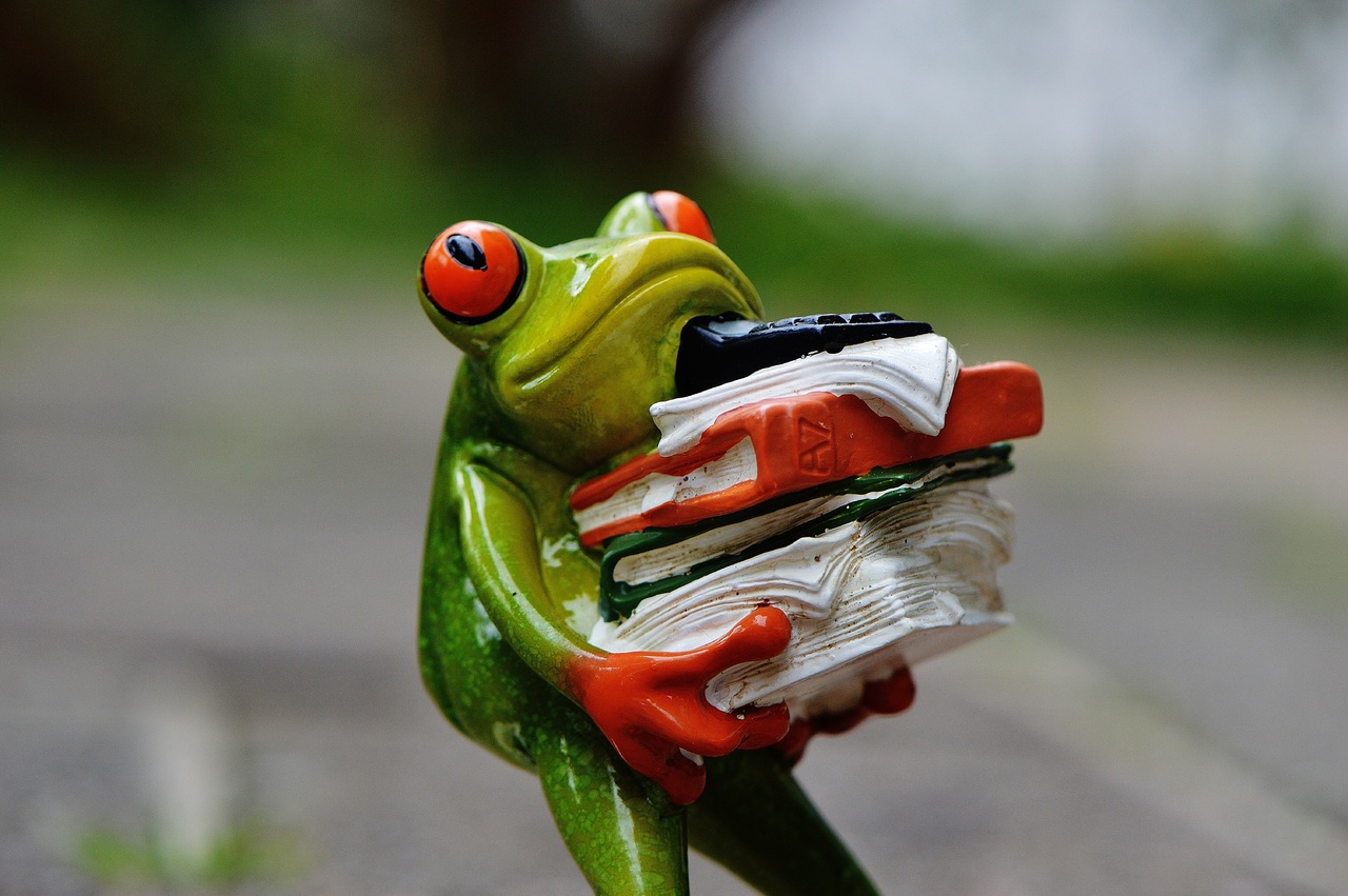 Incluvisie: animatie kikker met stapel mappen